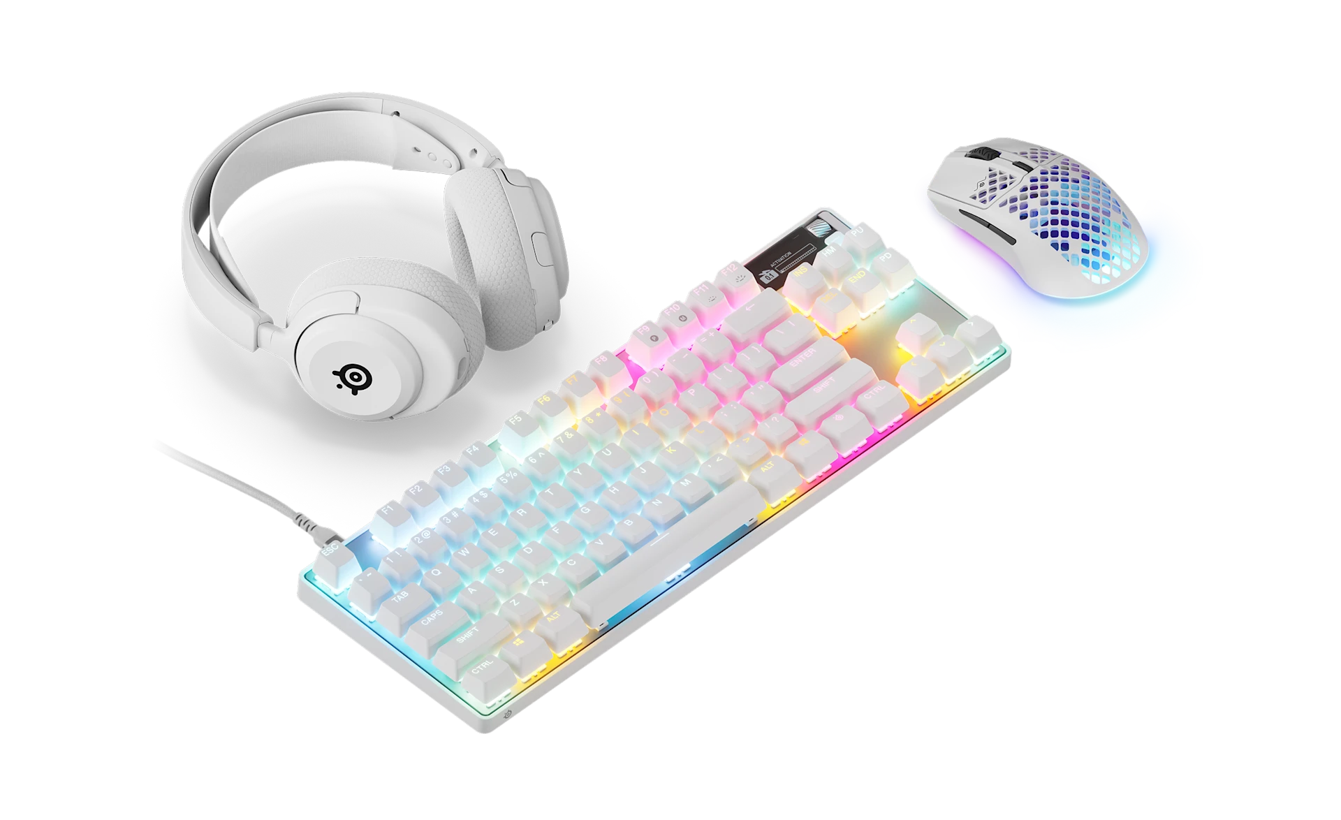 White Out Champion Bundle
